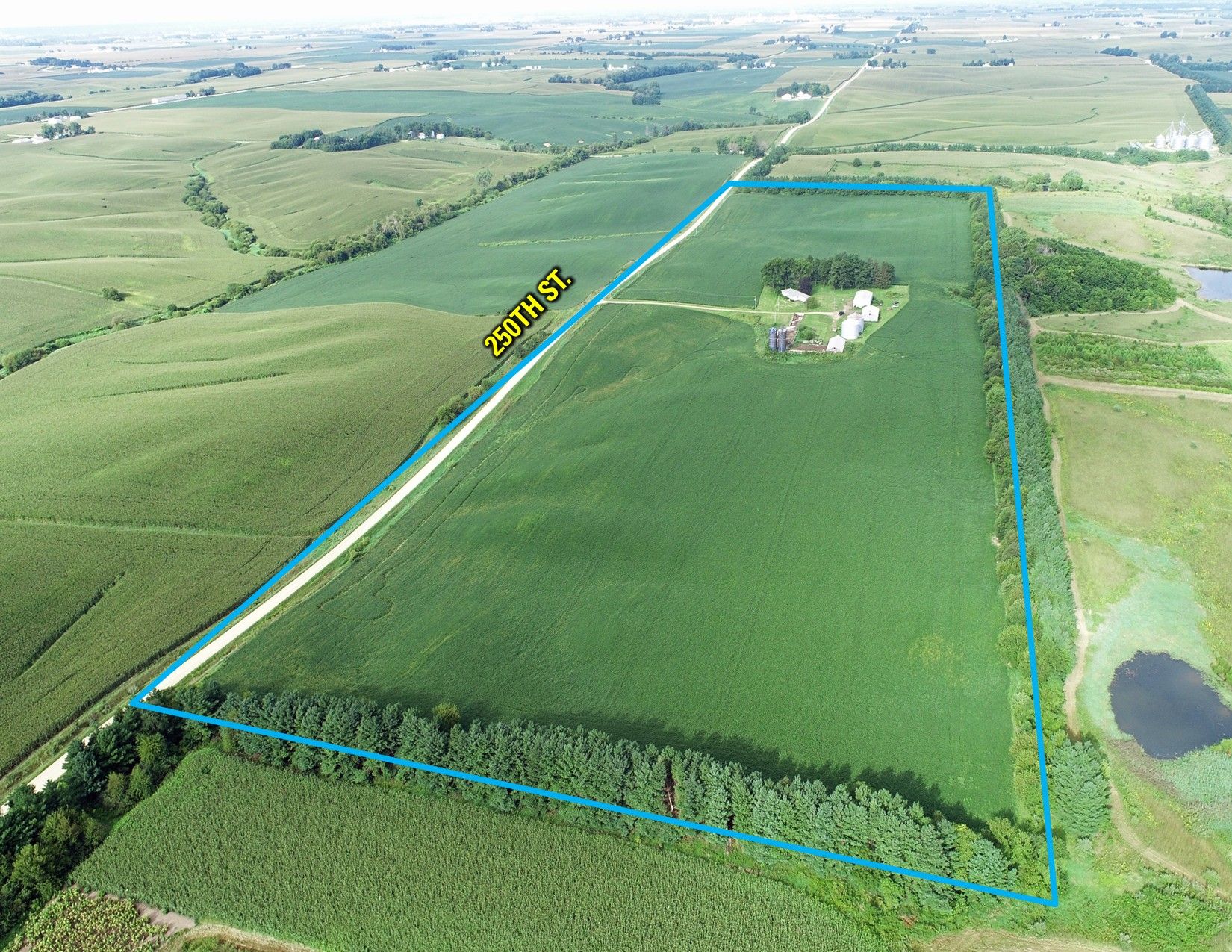 Listing #18563